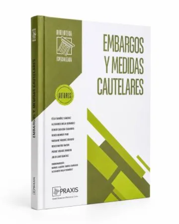 EMBARGOS Y MEDIDAS CAUTELARES