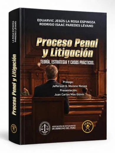 EL PROCESO PENAL Y LITIGACIÓN.  Teoría..