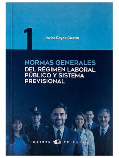 NORMAS GENERALES DEL REGIMEN LABORAL PUBLICO Y SISTEMA PROVISIONAL