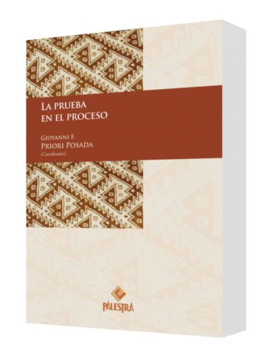 LA PRUEBA EN EL PROCESO LA PRUEBA EN EL PROCESO