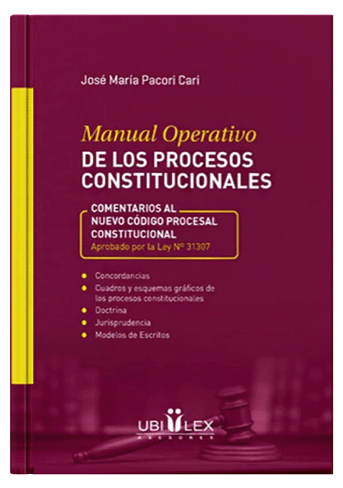 MANUAL OPERATIVO DE LOS PROCESOS CONSTIT..