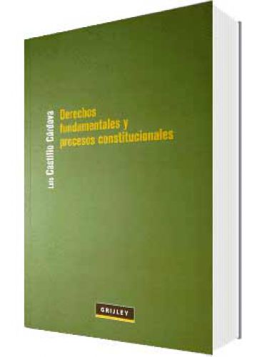 DERECHOS FUNDAMENTALES Y PROCESOS CONSTITUCIONALES