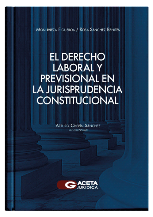 EL DERECHO LABORAL Y PREVISIONAL  EN LA JURISPRUDENCIA CONSTITUCIONAL