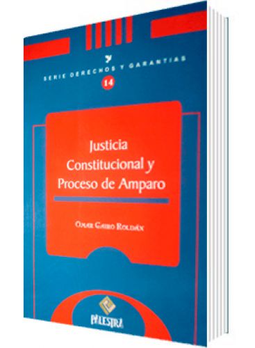 JUSTICIA CONSTITUCIONAL Y PROCESO DE AMPARO JUSTICIA CONSTITUCIONAL Y PROCESO DE AMPARO