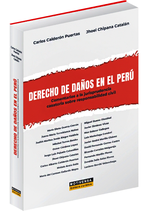 DERECHO DE DAÑOS EN EL PERÚ - Comentar..