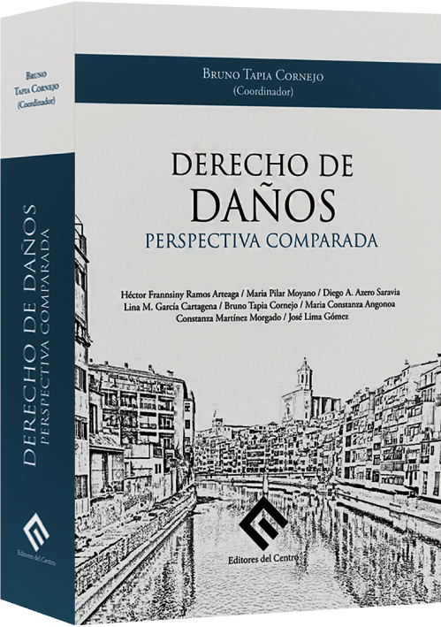 DERECHO DE DAÑOS - Perspectiva Comparada
