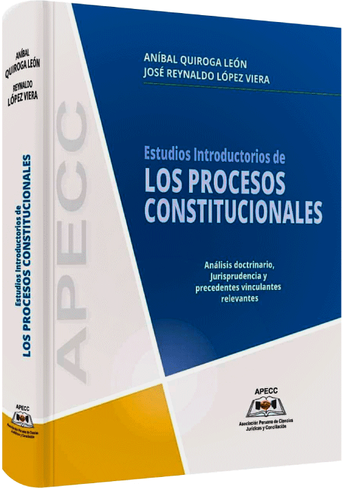 ESTUDIOS INTRODUCTORIOS A LOS PROCESOS C..