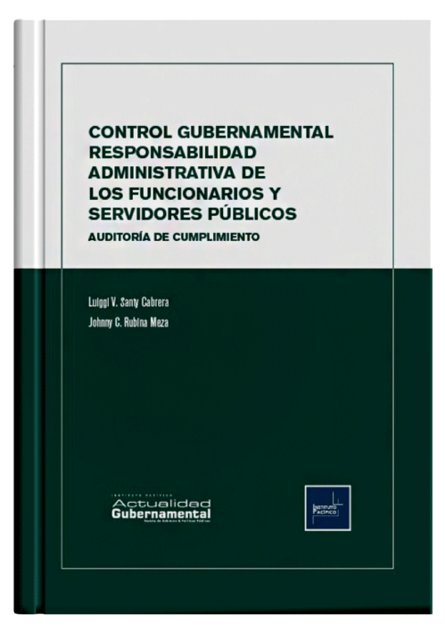 CONTROL GUBERNAMENTAL - Responsabilidad ..