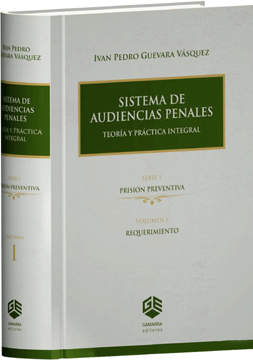 SISTEMA DE AUDIENCIAS PENALES - Teoría Y Práctica Integral (volumen 1)