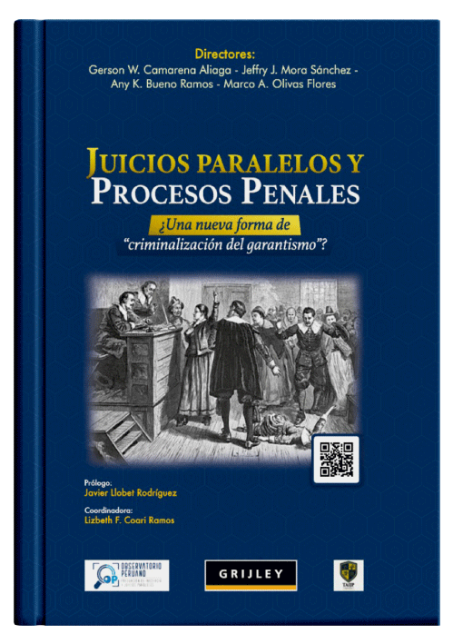 LOS JUICIOS PARALELOS Y PROCESOS PENALES..