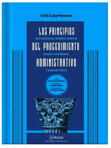 LOS PRINCIPIOS DEL PROCEDIMIENTO ADMINISTRATIVO