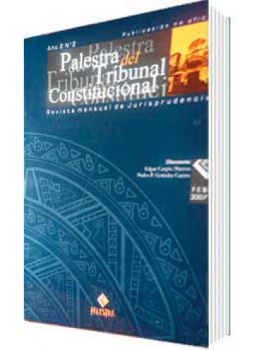 PALESTRA DEL TRIBUNAL CONSTITUCIONAL 2, AÑO 2007