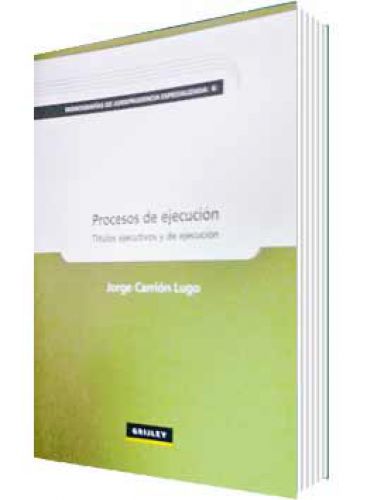 PROCESOS DE EJECUCIÓN